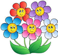 Week 2 – Life Cycle Of A Flower💐