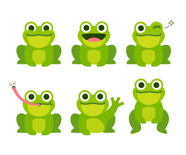 The Life Cycle Of A Frog 🐸