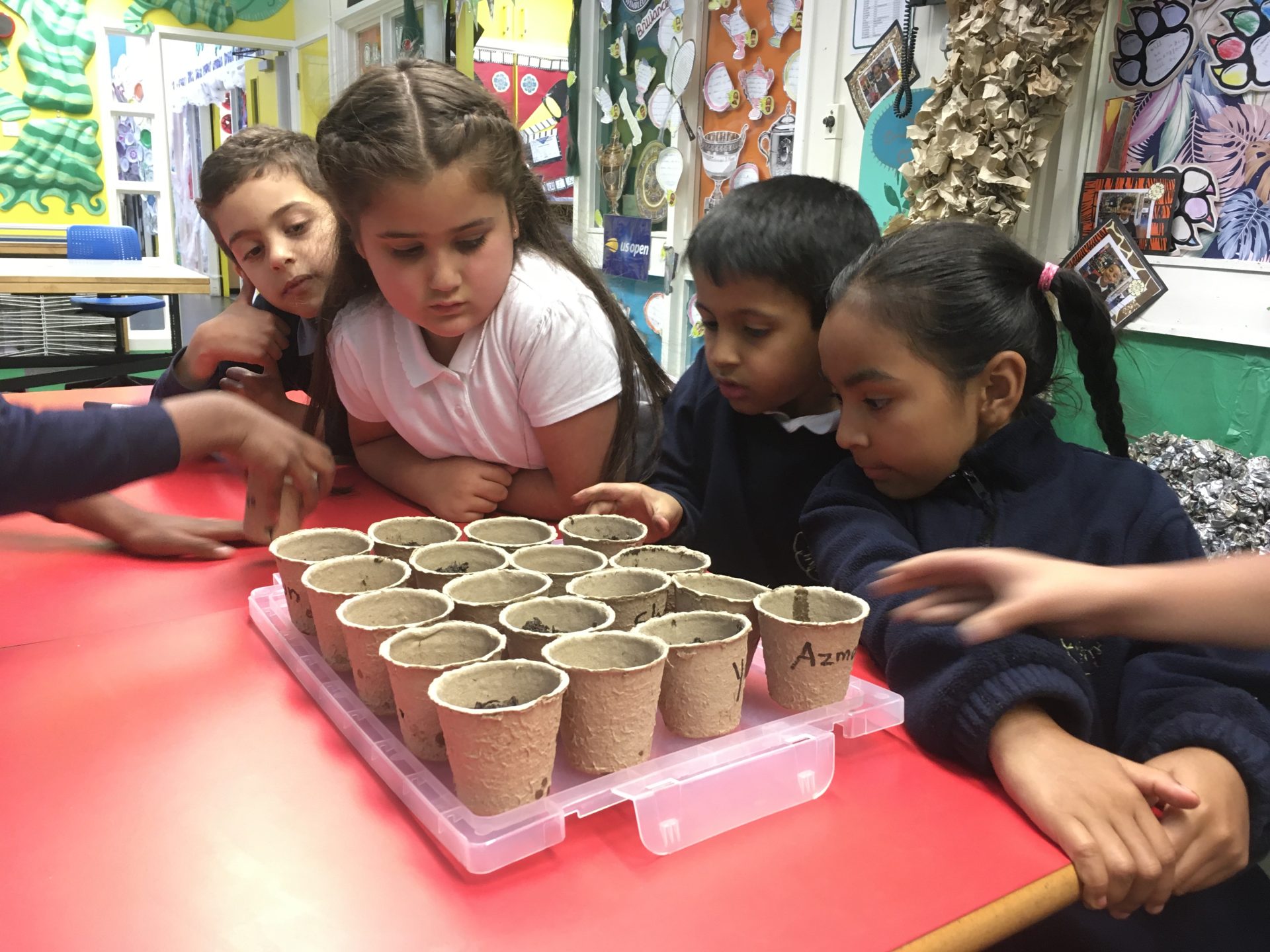 Planting seeds🌱🌱🌱