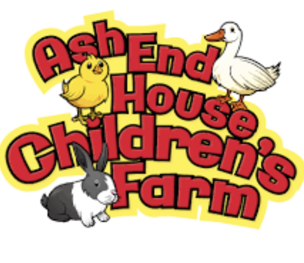 1Blue’s Trip to Ash End Children’s Farm! 🐥🐄🐑🚜